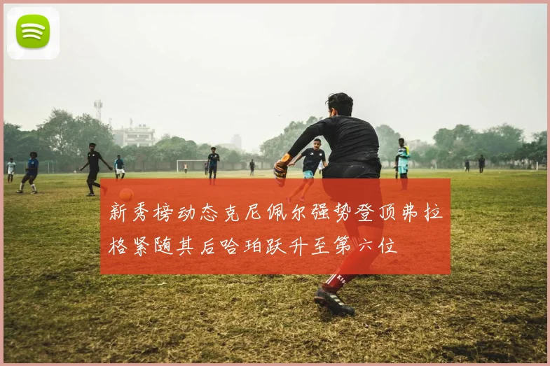 新秀榜动态克尼佩尔强势登顶弗拉格紧随其后哈珀跃升至第六位