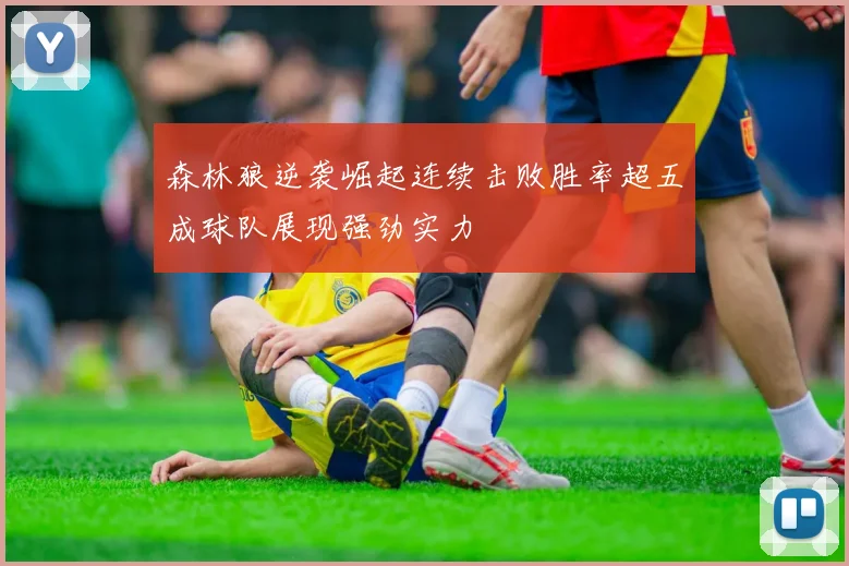 森林狼逆袭崛起连续击败胜率超五成球队展现强劲实力