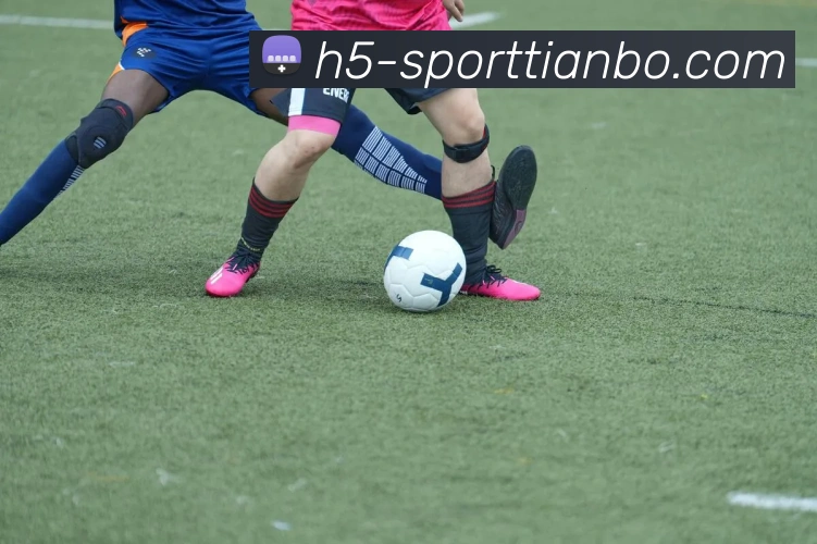 天博体育APP 封面图